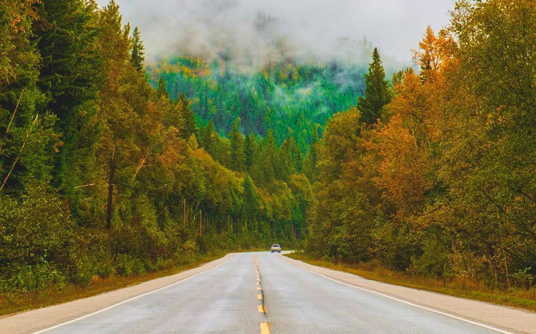 Une route à deux voies bordée d'arbres aux couleurs d'automne au canada